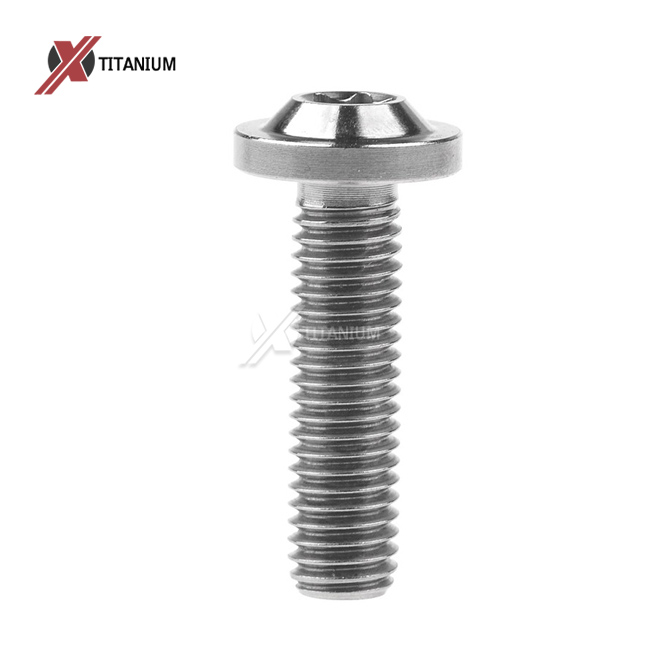 titanium bolt m8 x 20 mm